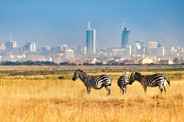 Nairobi-National-Park